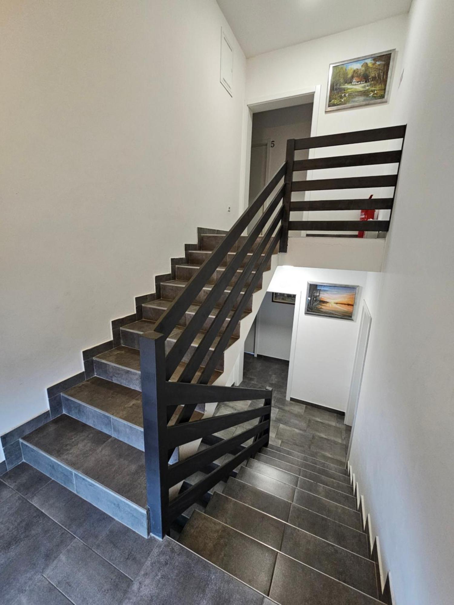 Filipovic Rent A Car & Apartments Selnica Scitarjevska Exterior foto