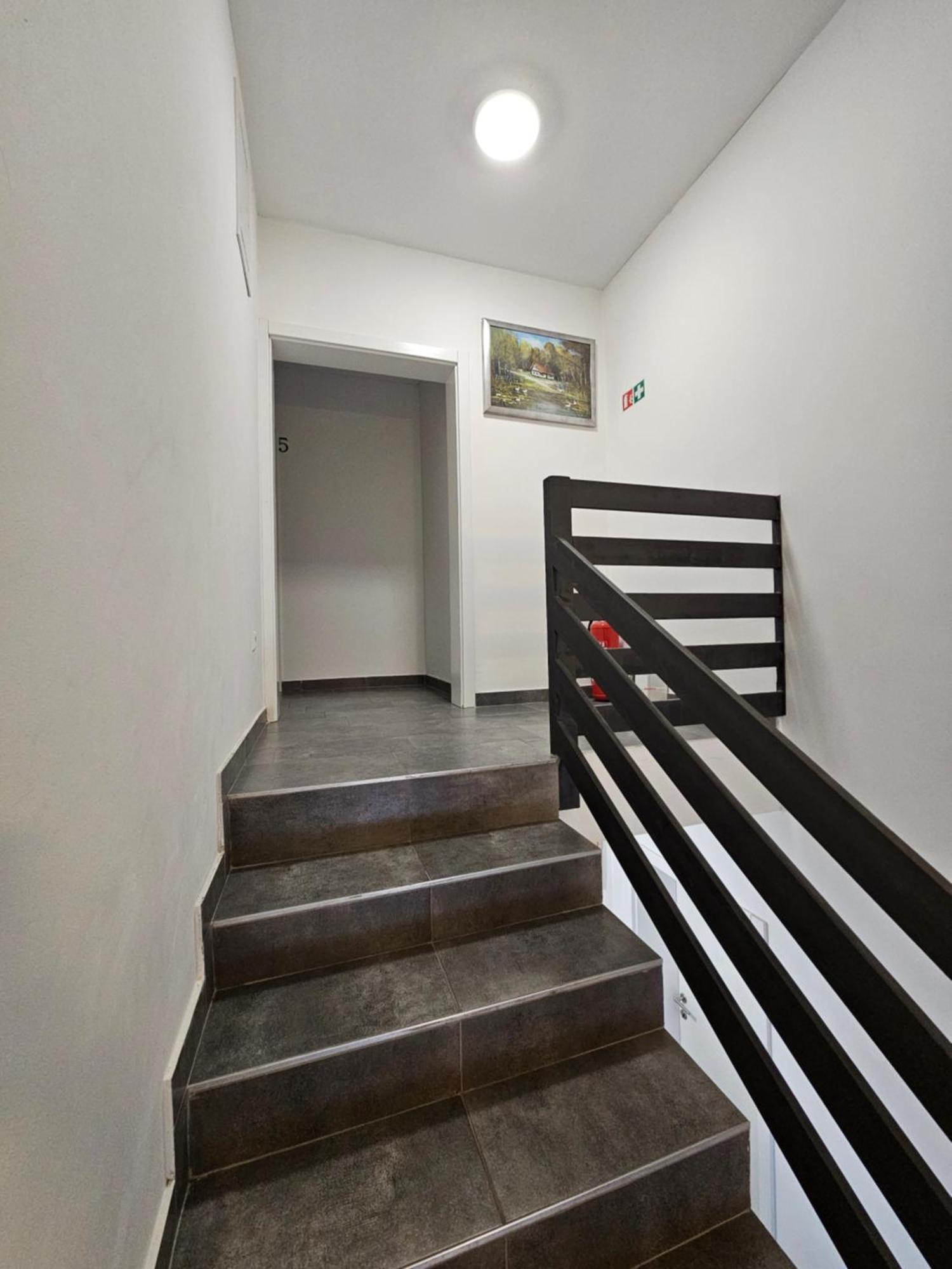 Filipovic Rent A Car & Apartments Selnica Scitarjevska Exterior foto